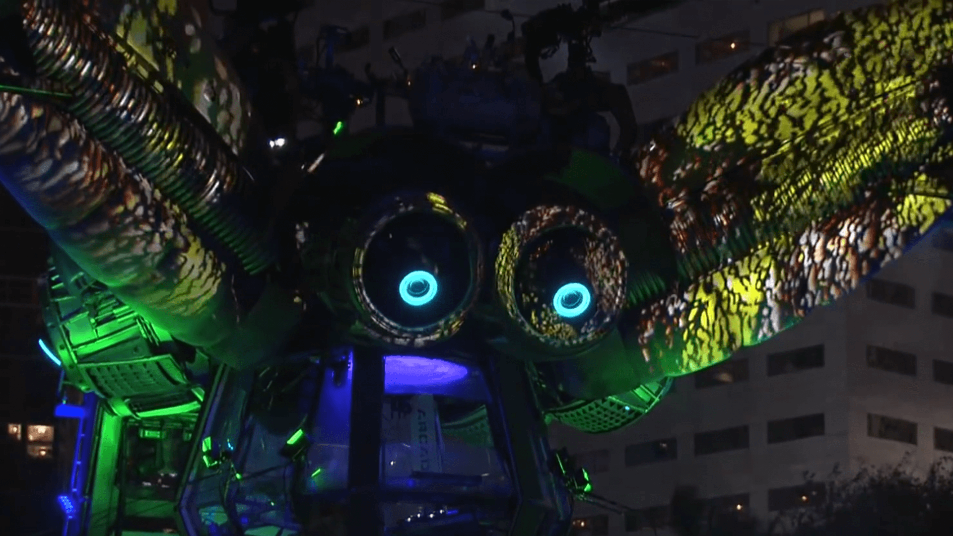 Arcadia Spider image